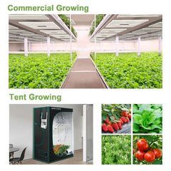 MarsHydro LED GROW LIGHT Mars Hydro FC 6500 Samsung LM301B OSRAM Vertical Farm LED Grow Light
