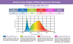 Active Grow Grow Lights Active Grow 12W T5 HO 2FT Horticultural Lamp – Bright White Spectrum